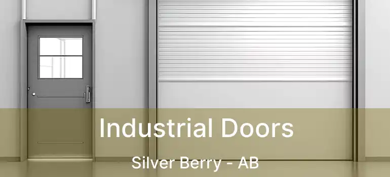  Industrial Doors Silver Berry - AB