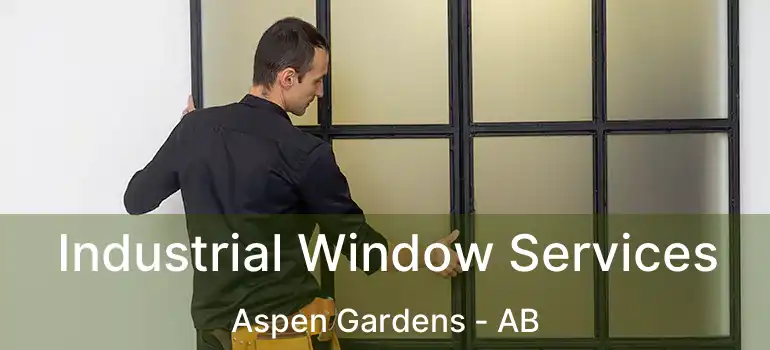  Industrial Window Services Aspen Gardens - AB