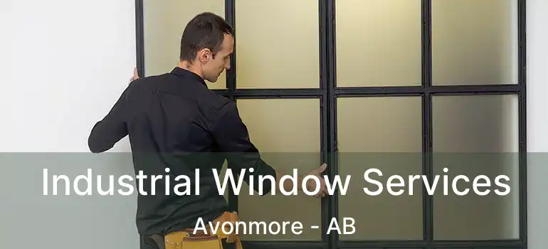  Industrial Window Services Avonmore - AB