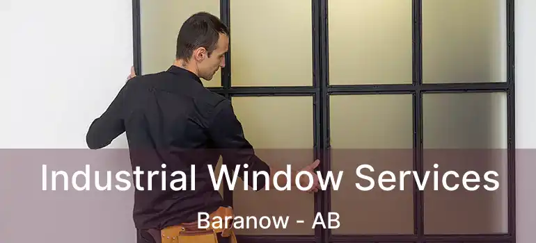  Industrial Window Services Baranow - AB