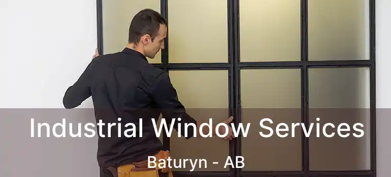  Industrial Window Services Baturyn - AB