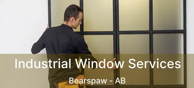  Industrial Window Services Bearspaw - AB
