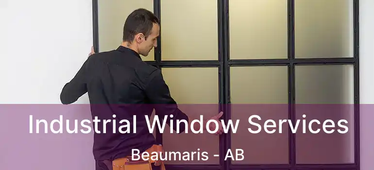  Industrial Window Services Beaumaris - AB