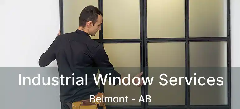  Industrial Window Services Belmont - AB