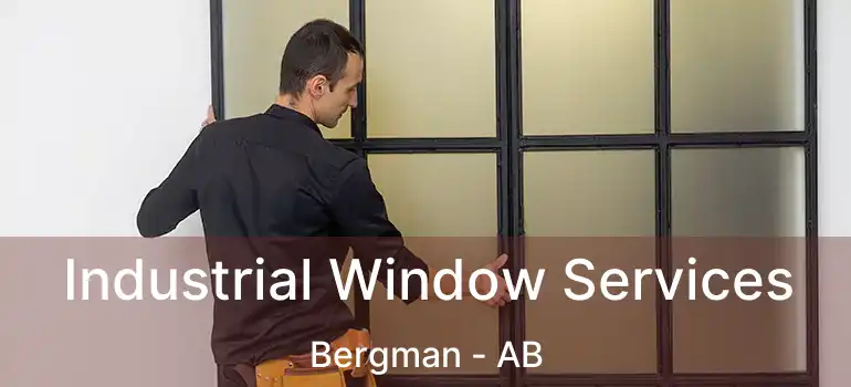  Industrial Window Services Bergman - AB