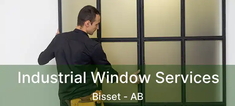  Industrial Window Services Bisset - AB
