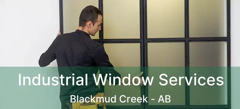 Industrial Window Services Blackmud Creek - AB