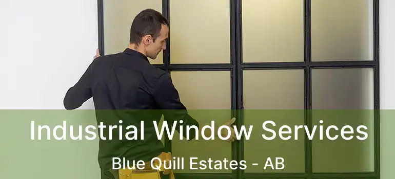  Industrial Window Services Blue Quill Estates - AB