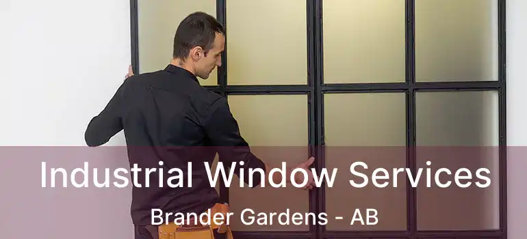  Industrial Window Services Brander Gardens - AB