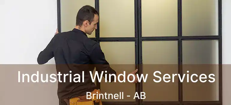  Industrial Window Services Brintnell - AB