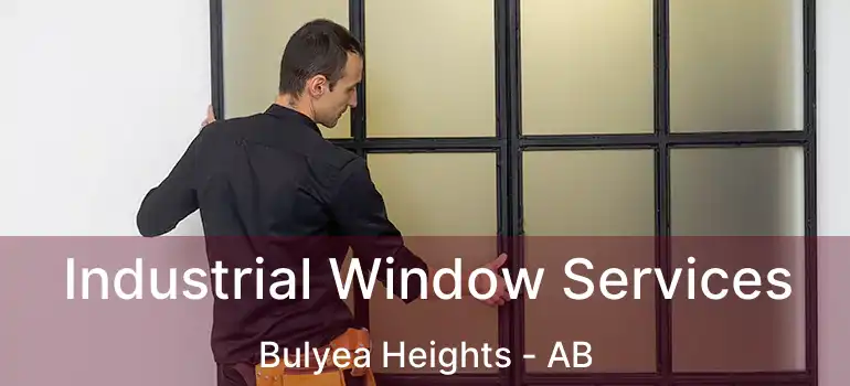  Industrial Window Services Bulyea Heights - AB