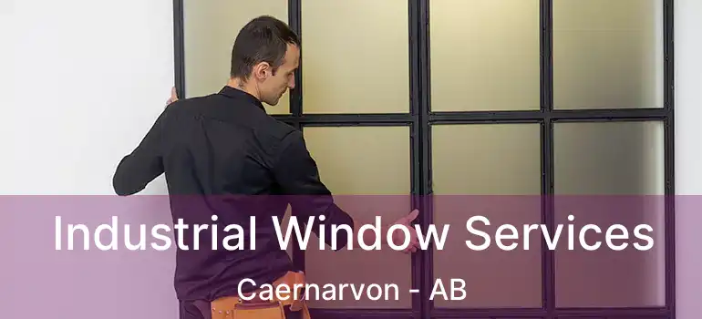  Industrial Window Services Caernarvon - AB