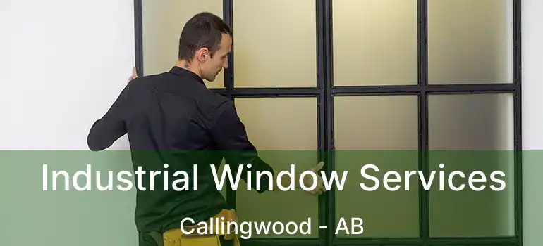  Industrial Window Services Callingwood - AB