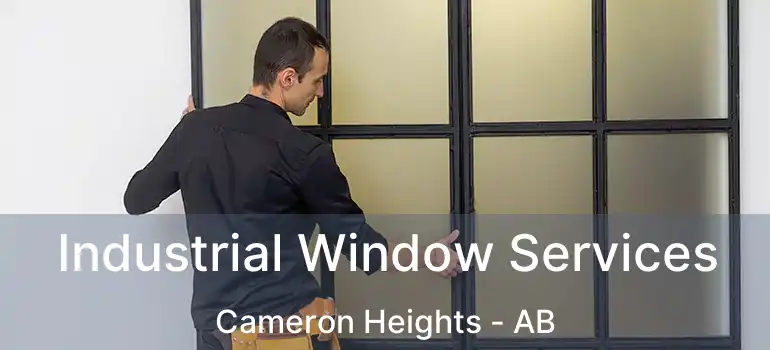 Industrial Window Services Cameron Heights - AB