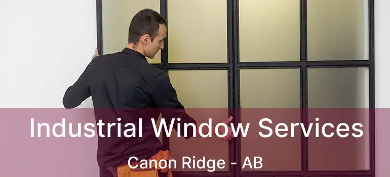  Industrial Window Services Canon Ridge - AB