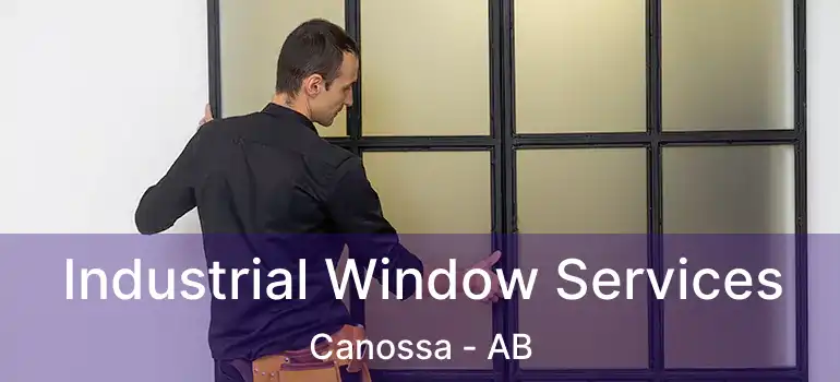  Industrial Window Services Canossa - AB