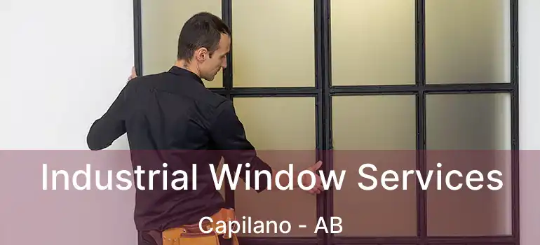  Industrial Window Services Capilano - AB