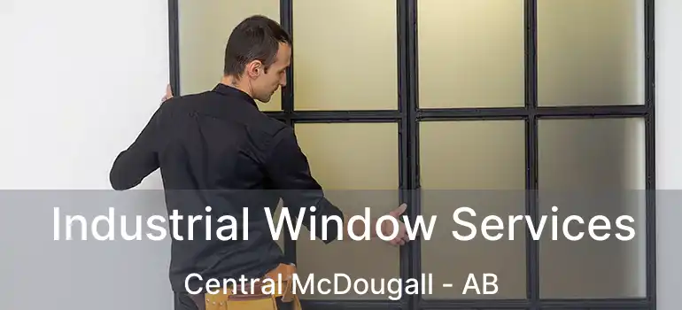  Industrial Window Services Central McDougall - AB