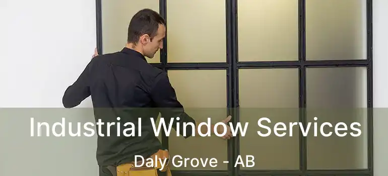  Industrial Window Services Daly Grove - AB