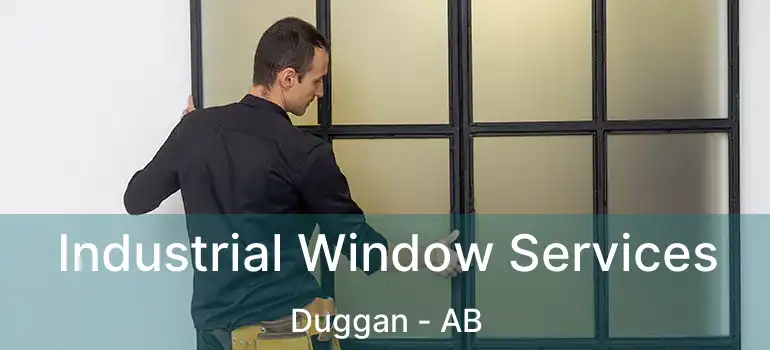  Industrial Window Services Duggan - AB