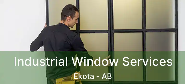  Industrial Window Services Ekota - AB