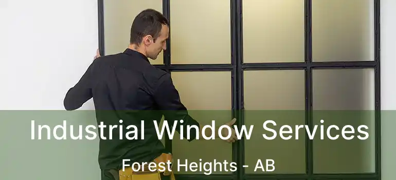 Industrial Window Services Forest Heights - AB