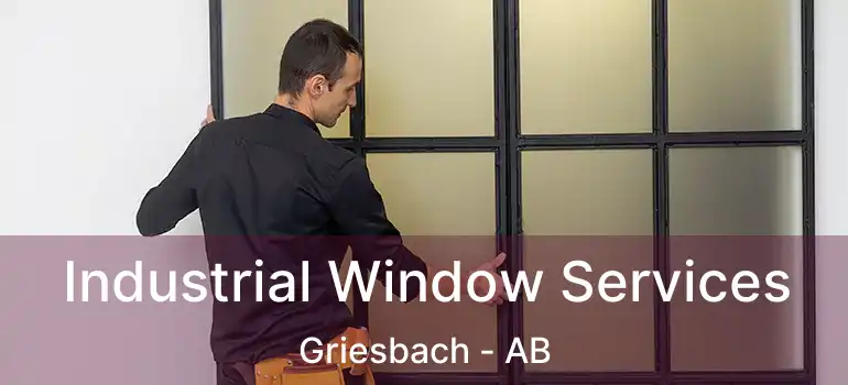  Industrial Window Services Griesbach - AB