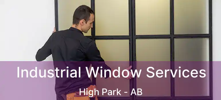  Industrial Window Services High Park - AB