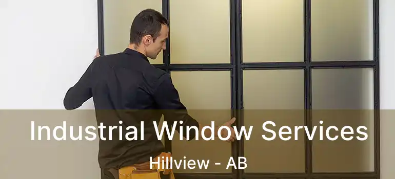  Industrial Window Services Hillview - AB