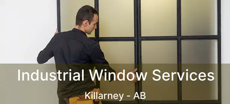  Industrial Window Services Killarney - AB