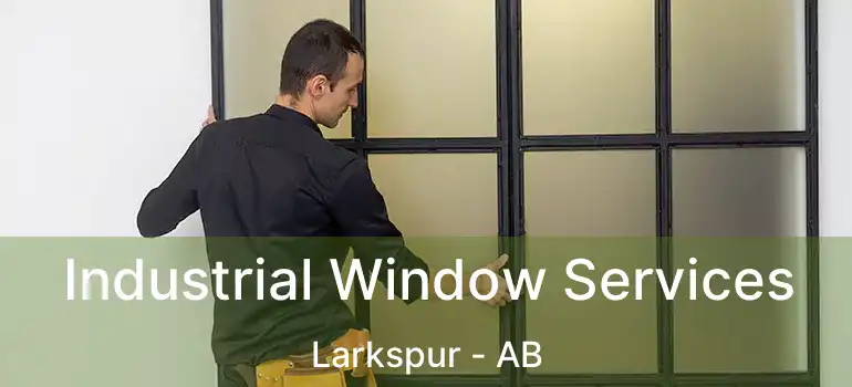  Industrial Window Services Larkspur - AB