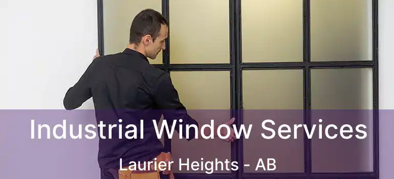  Industrial Window Services Laurier Heights - AB