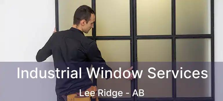  Industrial Window Services Lee Ridge - AB