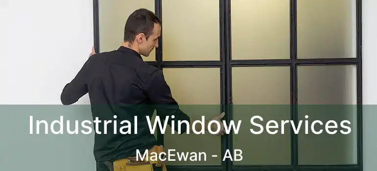  Industrial Window Services MacEwan - AB
