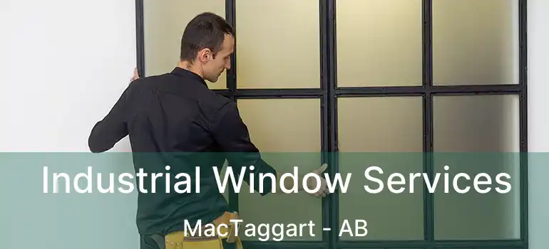  Industrial Window Services MacTaggart - AB
