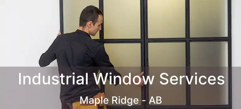  Industrial Window Services Maple Ridge - AB