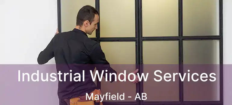  Industrial Window Services Mayfield - AB