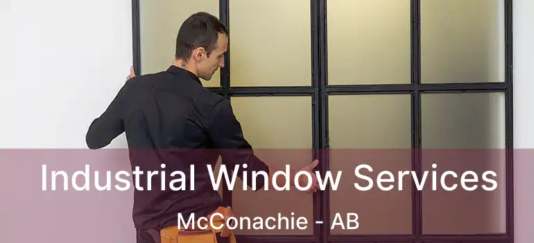 Industrial Window Services McConachie - AB