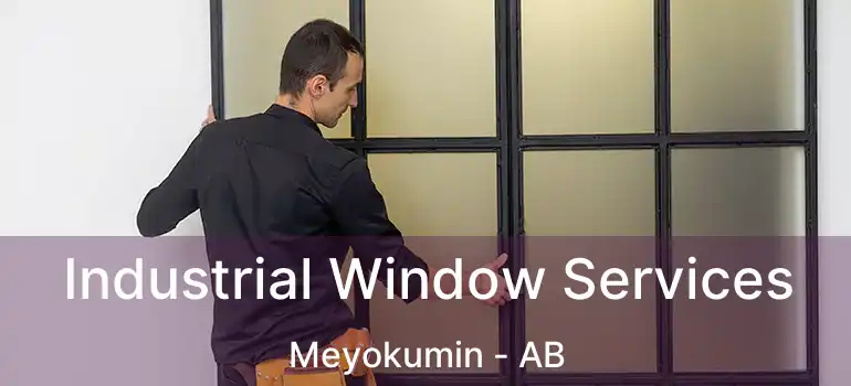  Industrial Window Services Meyokumin - AB