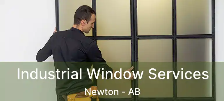  Industrial Window Services Newton - AB