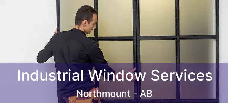  Industrial Window Services Northmount - AB