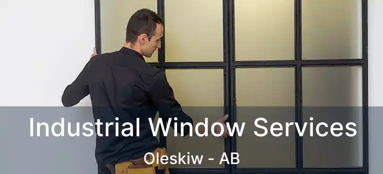  Industrial Window Services Oleskiw - AB