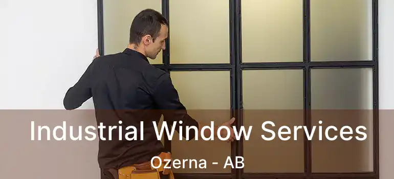  Industrial Window Services Ozerna - AB