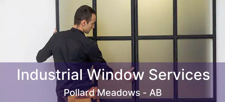  Industrial Window Services Pollard Meadows - AB