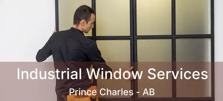  Industrial Window Services Prince Charles - AB