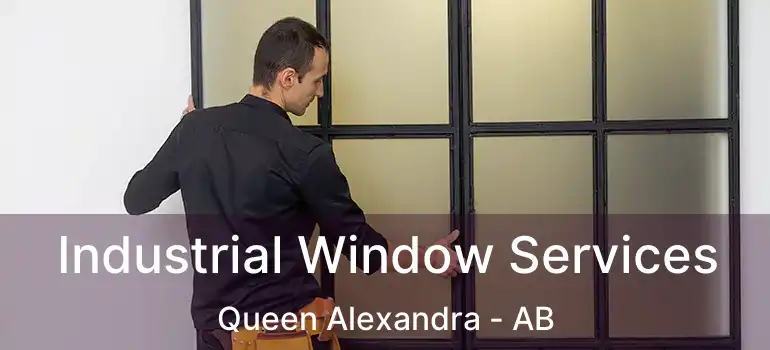  Industrial Window Services Queen Alexandra - AB