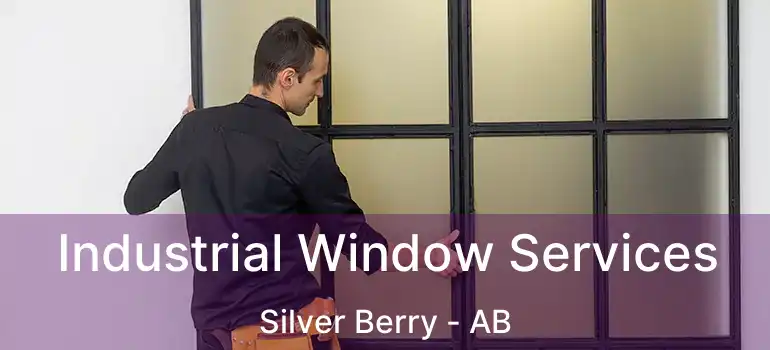  Industrial Window Services Silver Berry - AB