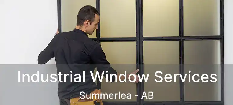  Industrial Window Services Summerlea - AB