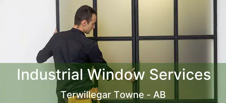  Industrial Window Services Terwillegar Towne - AB