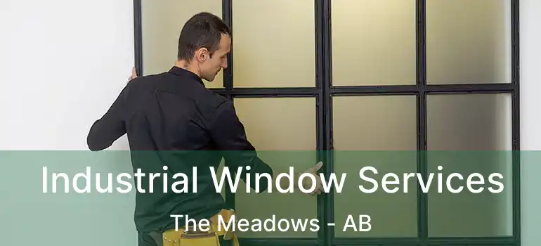  Industrial Window Services The Meadows - AB
